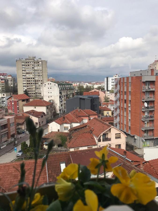 Apartment Belvedere