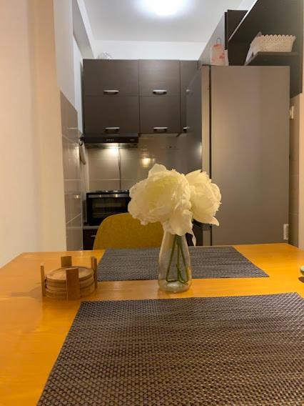 Belvedere Apartment *